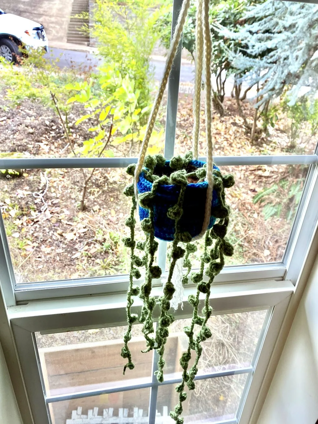 Hanging Planter
