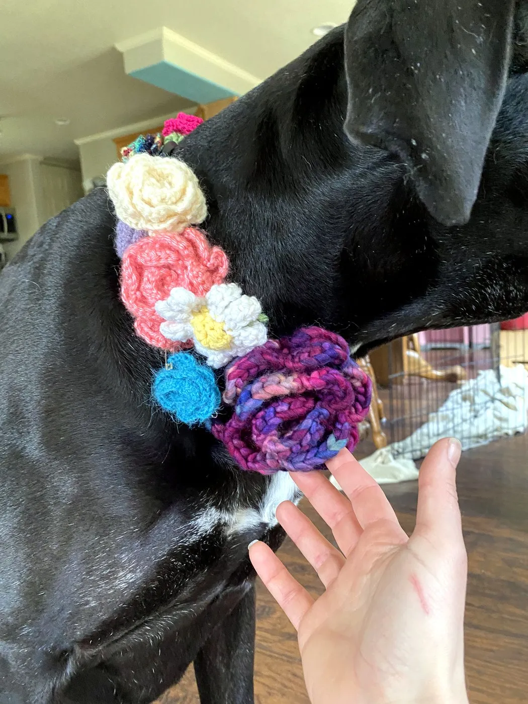 Flower Dog Collar